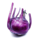 Kaleráb raný modrý Purple vienna - Brassica oleracea - predaj semien - 100 ks