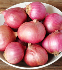 Cibuľa šalotka Camelot F1 - Allium cepa - predaj semien - 50 ks