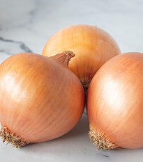 Cibuľa ozimná Augusta - Allium cepa - predaj semien cibule - 250 ks