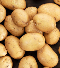 Sadbové zemiaky Princess - Solanum tuberosum - skoré - 5 kg
