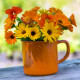 Nechtík lekársky - Calendula officinalis - predaj semien - 30 ks