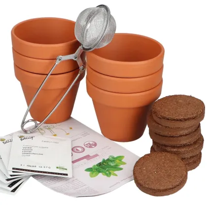 Buzzy Garden Gift - Darčeková súprava Čajová záhradka - Pieterpik - predaj súprav - 1 balenie