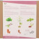 Buzzy Garden Gift - Darčeková súprava Čajová záhradka - Pieterpik - predaj súprav - 1 balenie
