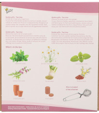 Buzzy Garden Gift - Darčeková súprava Čajová záhradka - Pieterpik - predaj súprav - 1 balenie