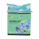 Buzzy Flower Gift - Minisada na pestovanie nezábudky - Pieterpik - predaj sád - 1 ks