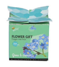 Buzzy Flower Gift - Minisada na pestovanie nezábudky - Pieterpik - predaj sád - 1 ks