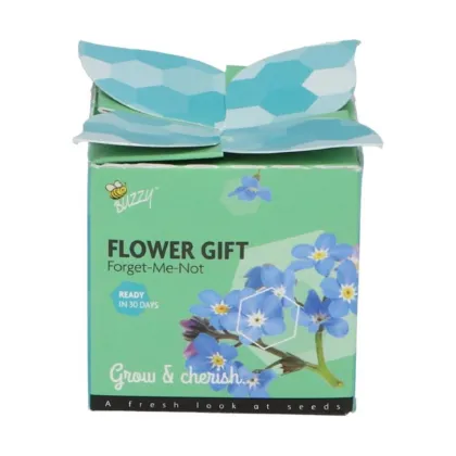 Buzzy Flower Gift - Minisada na pestovanie nezábudky - Pieterpik - predaj sád - 1 ks