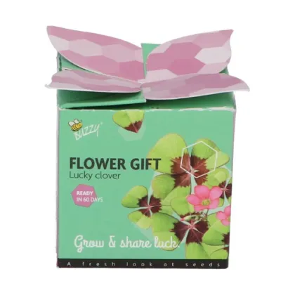 Buzzy Flower Gift - Minisúprava na pestovanie štvorlístka - Pieterpik - predaj sád - 1 ks