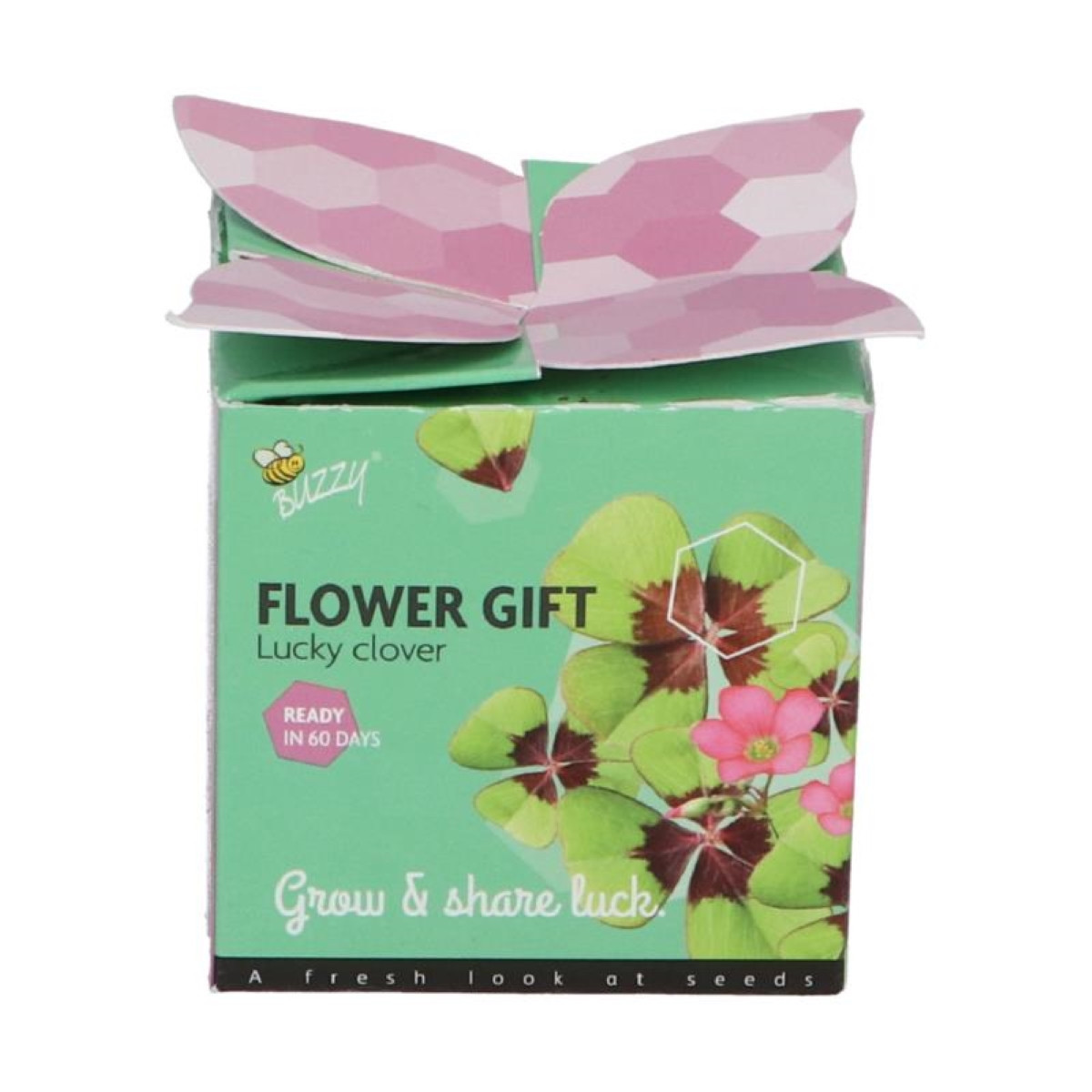 Buzzy Flower Gift - Minisúprava na pestovanie štvorlístka - Pieterpik - predaj sád - 1 ks