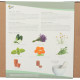Buzzy Garden Gift - Darčeková sada Wellness - Pieterpik - predaj sád - 1 balenie