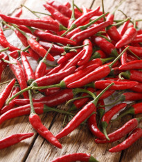 BIO Chilli Piri Piri – Capsicum frutescens – bio semená chilli – 8 ks
