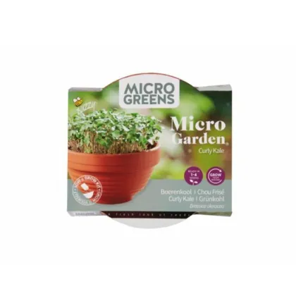 Buzzy Microgreens kučeravý kel v terakotovej miske
