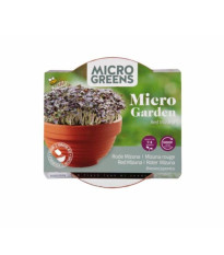 Buzzy Microgreens – Červená mizuna v terakotovej miske