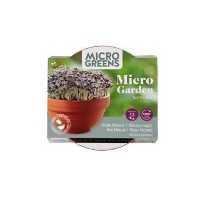 Buzzy Microgreens – Červená mizuna v terakotovej miske