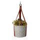 Súprava na pestovanie africkej žihľavy Buzzy House Plants
