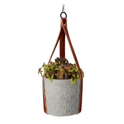 Súprava na pestovanie africkej žihľavy Buzzy House Plants