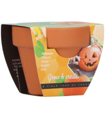 Súprava na pestovanie tekvice – Buzzy Grow Gifts – Pieterpik