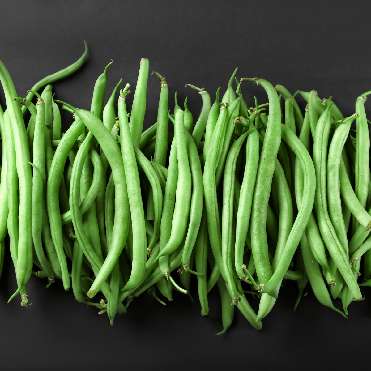 Fazuľa kolíková Primel - Phaseolus vulgaris - semiačka - 20 gr