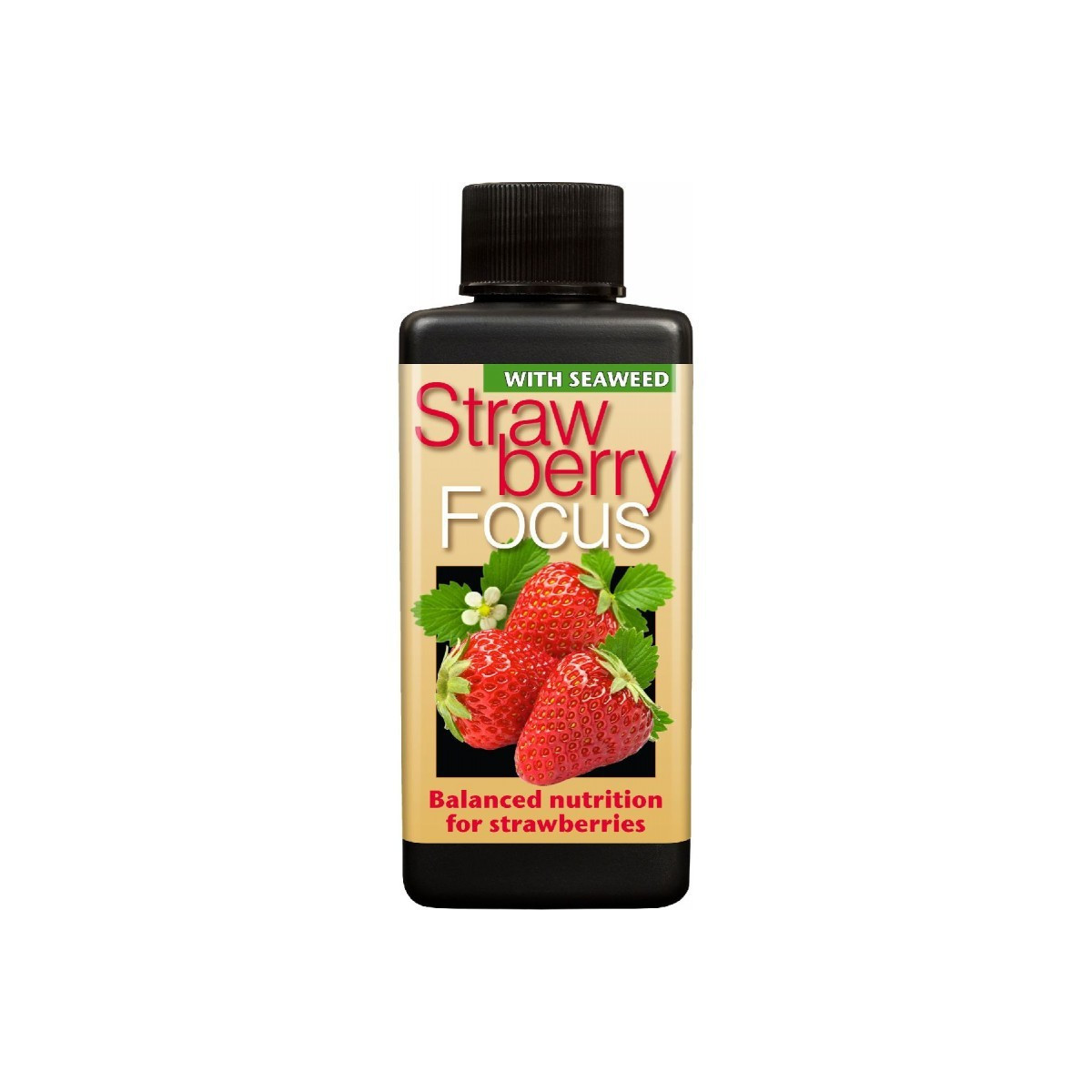 Hnojivo pre jahody - Focus - 100 ml