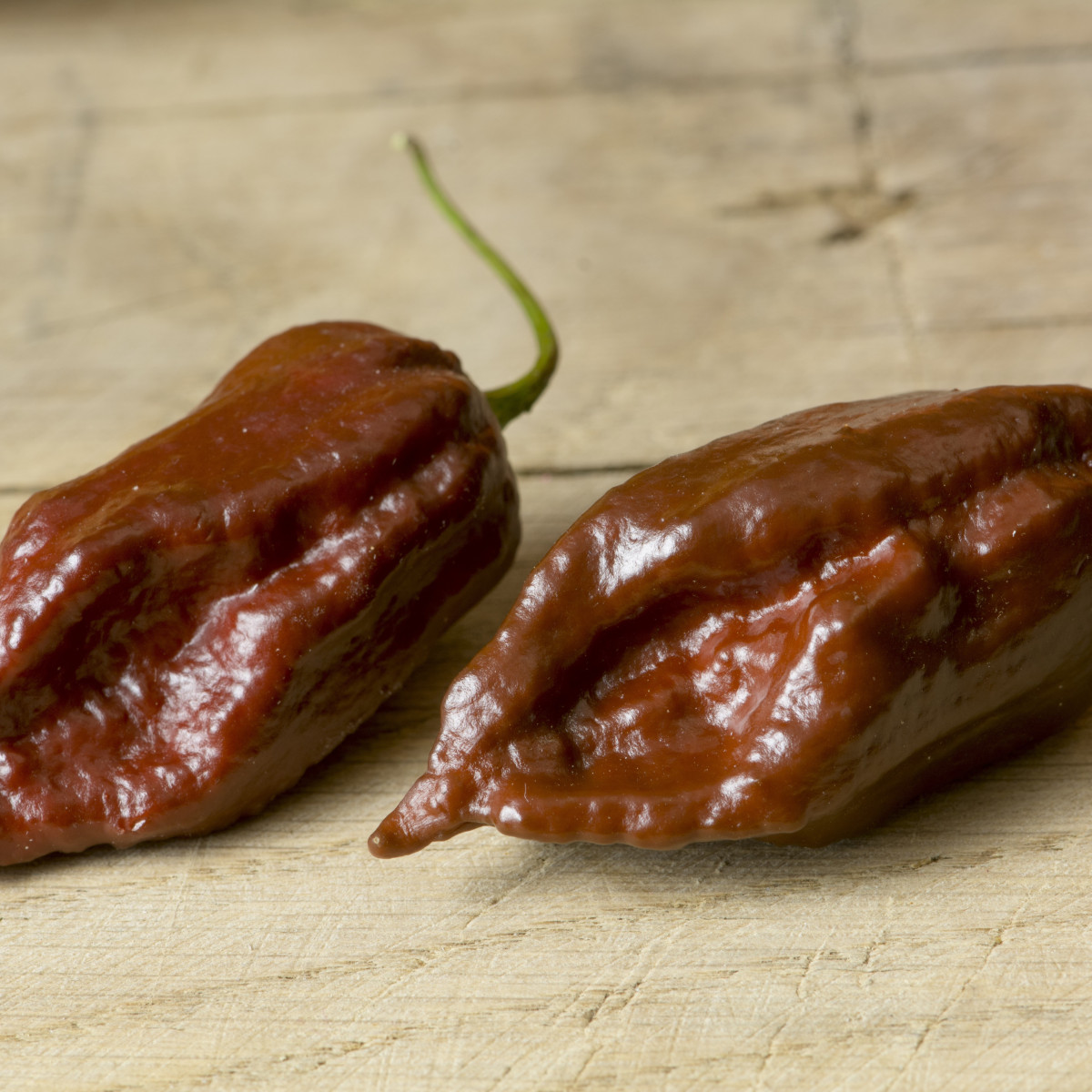 Chilli Black Naga - Capsicum chinense - predaj semien - 6 ks
