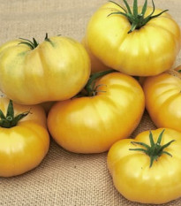 Paradajka Azoychka - Solanum lycopersicum - semená rajčiaka - 8 ks