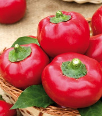 Paradajková paprika Topgirl - Capsicum annuum - semená papriky - 7 ks