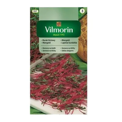 Semená na klíčky - Mangold - 10 g