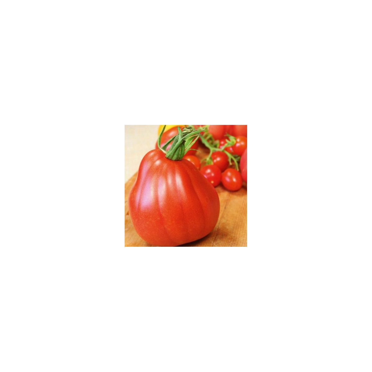Kolíková paradajka Coure di Bue - Solanum lycopersicum - Predaj semien rajčiaka - 10 ks