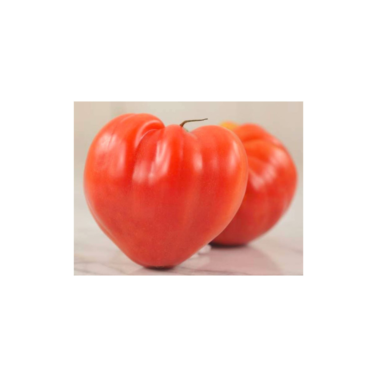 Paradajka Oxheart Pink - Kolíková - Solanum lycopersicum - Predaj semien rajčiaka - 5 ks
