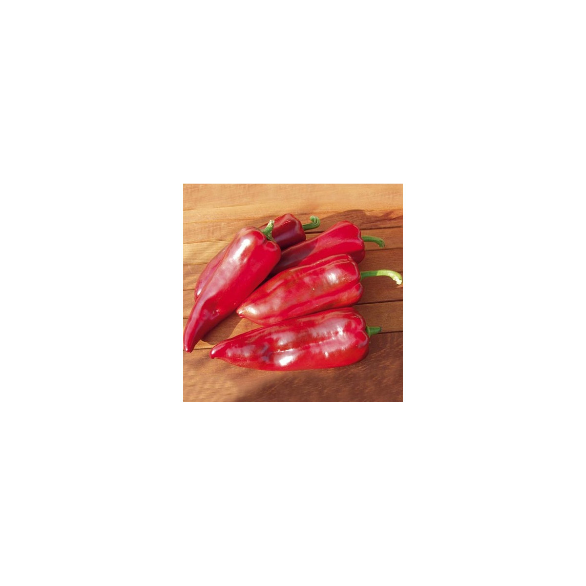 Bio Paprika Atris F1 - Capsicum annuum - predaj bio semien - 5 ks