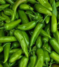 Chilli Veľký Jim - Capsicum annuum - predaj semien - 7 ks