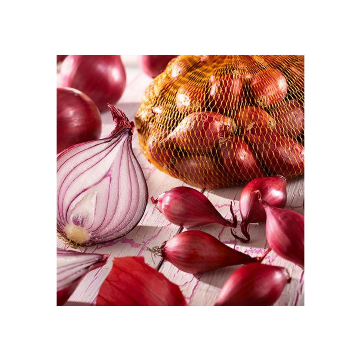 Cibuľa červená sadzačka Rote - Allium cepa - predaj cibule - 250 g