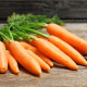 Bio mrkva Rothild skorá - Daucus carota - bio semiačka - 200 ks