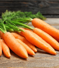 Bio mrkva Rothild skorá - Daucus carota - bio semiačka - 200 ks