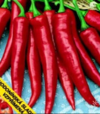 Paprika Hodonínska sladká - Capsicum annuum - predaj semien - 90 ks