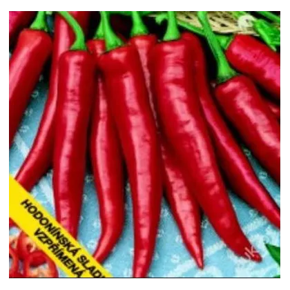 Paprika Hodonínska sladká - Capsicum annuum - predaj semien - 90 ks