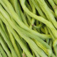 Vigna Čínska Metro - Fazuľa - Vigna Sinensis - semená 40 ks