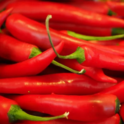 Chilli Aji Crystal - Capsicum baccatum - predaj semien - 7 ks