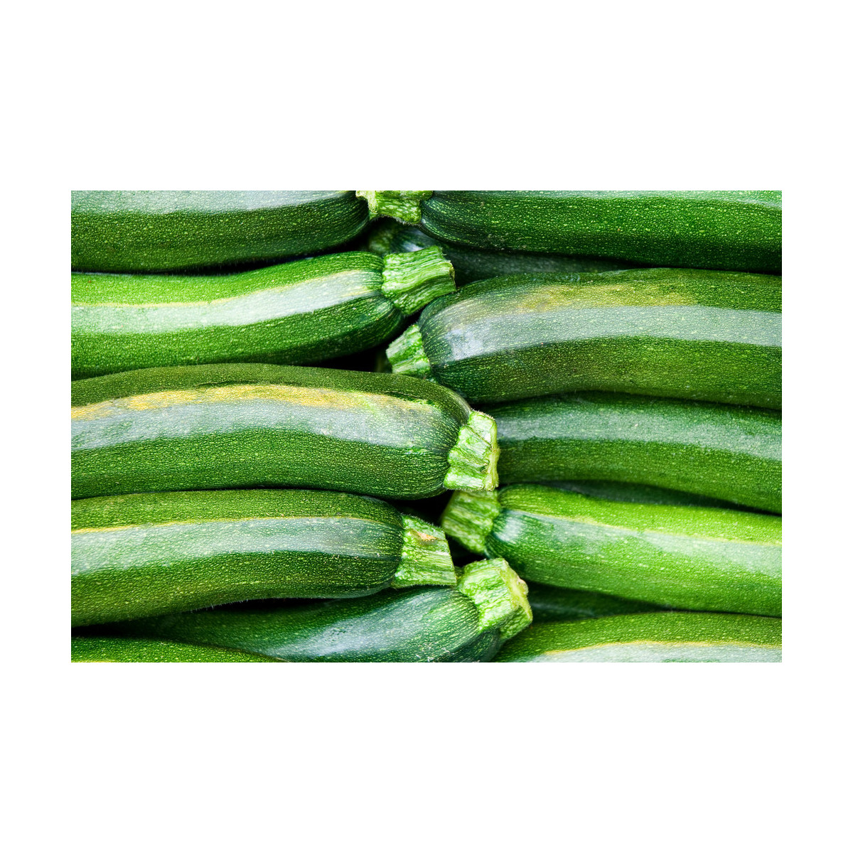 Bio Cuketa F1 Partenón - Cucurbita Pepo - Bio semiačka - 5 ks