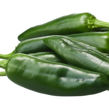 Chilli Ancho - Capsicum annuum - predaj semien - 6 ks