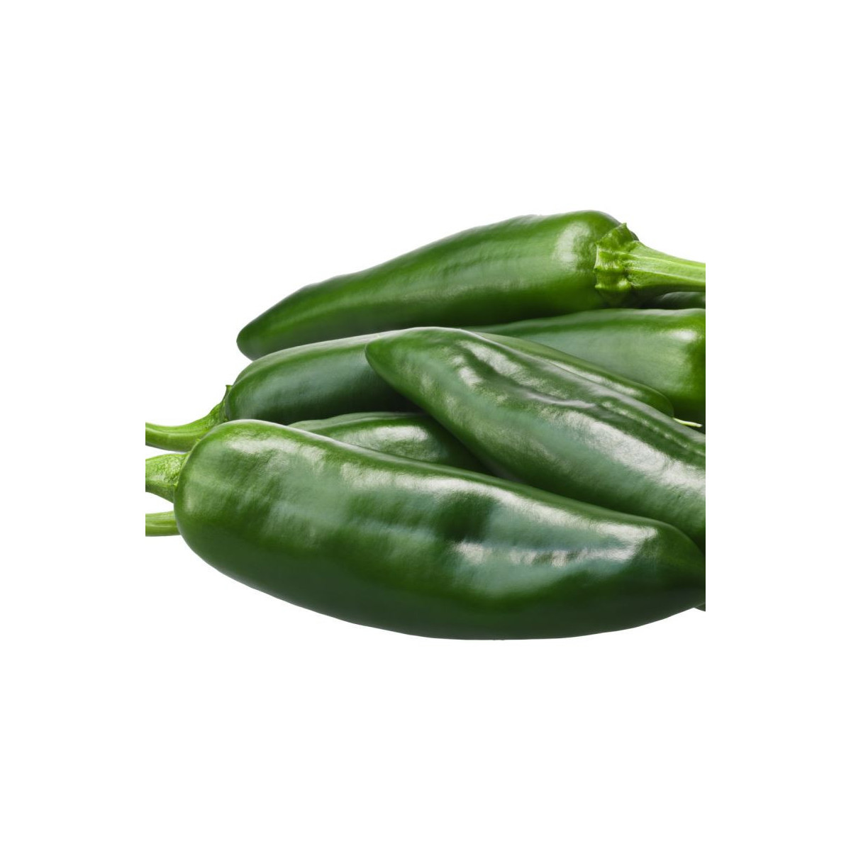 Chilli Ancho - Capsicum annuum - predaj semien - 6 ks
