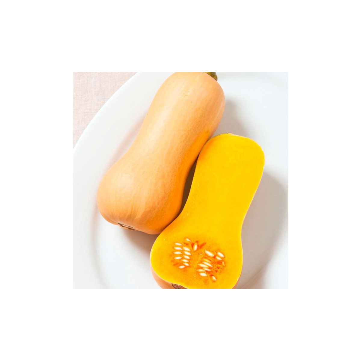 Bio tekvica Butterscotch F1 - Cucurbita moschata - predaj bio semien - 5 ks
