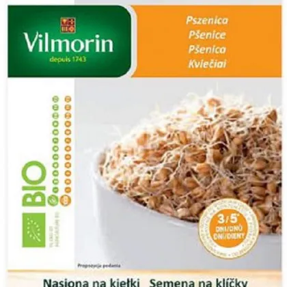 Bio semená na klíčky - Bio pšenica - semená - 40 g