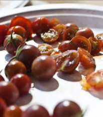 Paradajka Brown berry - Solanum lycopersicum - predaj semien rajčiaka - 7 ks