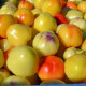 Paprika rajčiaková Nagykuti - Capsicum annuum - predaj semien - 7 ks
