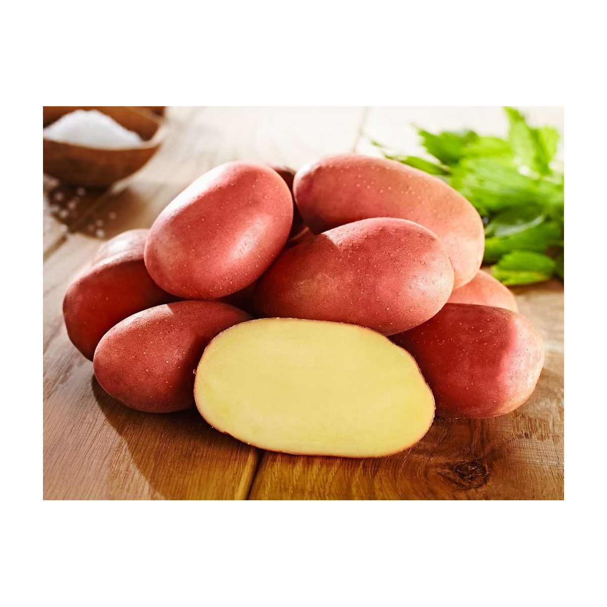Sadbové zemiaky Bellarosa - Solanum tuberosum - Kiepenkerl - 10 ks