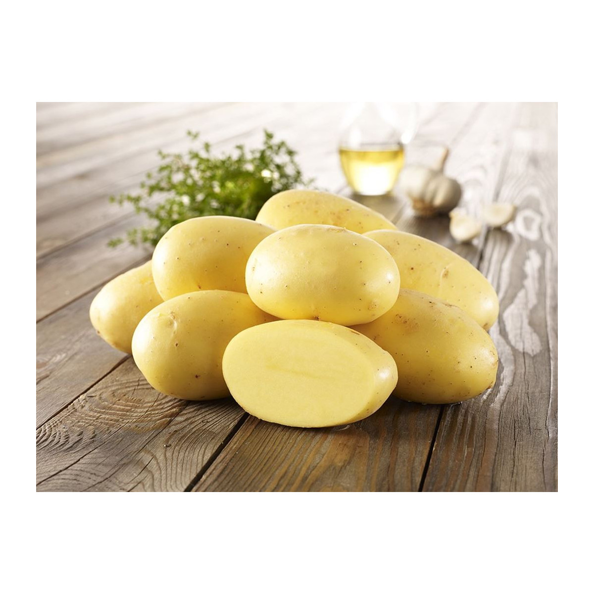 Sadbové zemiaky Agria - Solanum tuberosum - Kiepenkerl - 10 ks