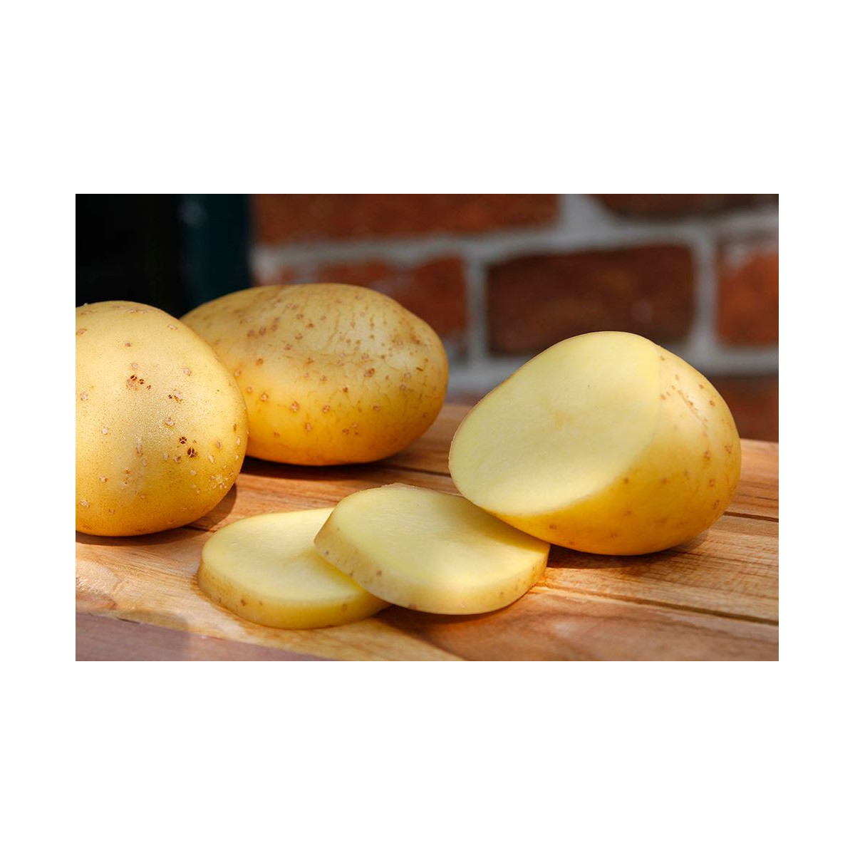 Bio sadbové zemiaky Belana - Solanum tuberosum - Kiepenkerl - 10 ks