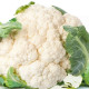 Bio Karfiol skorý Odysseus - Brassica oleracea - predaj bio semien - 20 ks