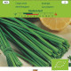 Bio Pažítka Medium leaf - Allium schoenoprasum L.- bio semená - 1 g